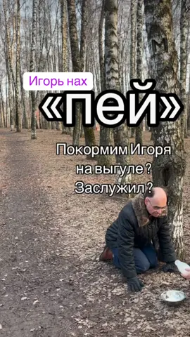 #fypシ゚ #humor #fypindonesia #сміхота😂😂 #perte #perte #матільда #привітання #fürdich #doglove #й 