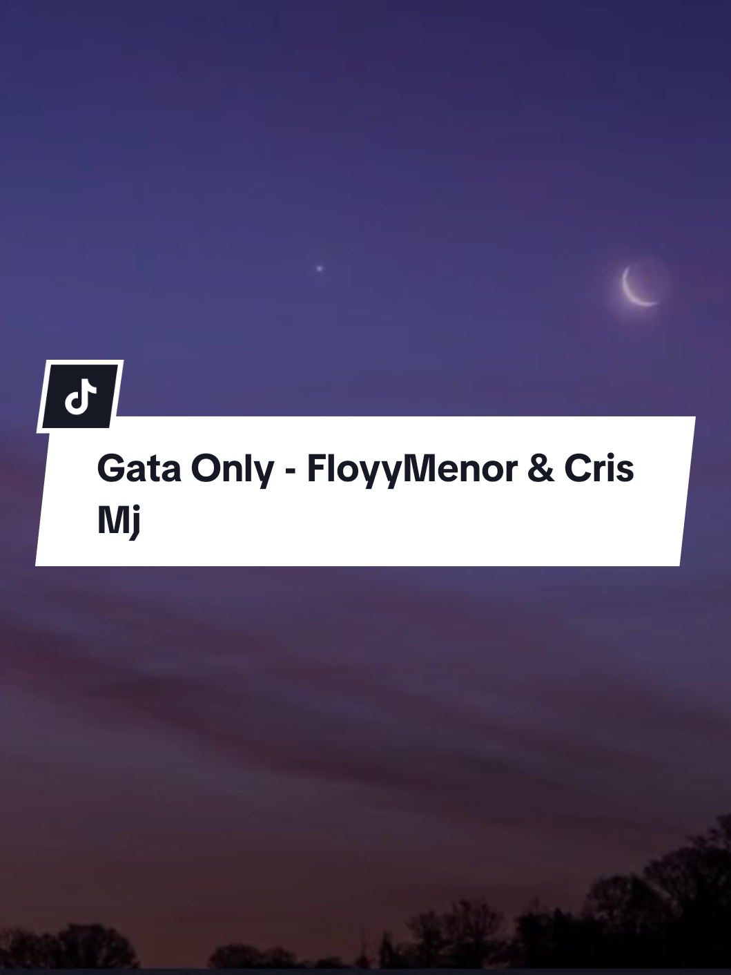 Gata Only - FloyyMenor & Cris Mj (MMsub + full lyrics)