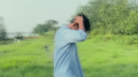 Dreamy blue birds 🥹🫶#foryoupage #trending #song #video #bdtiktokofficial 