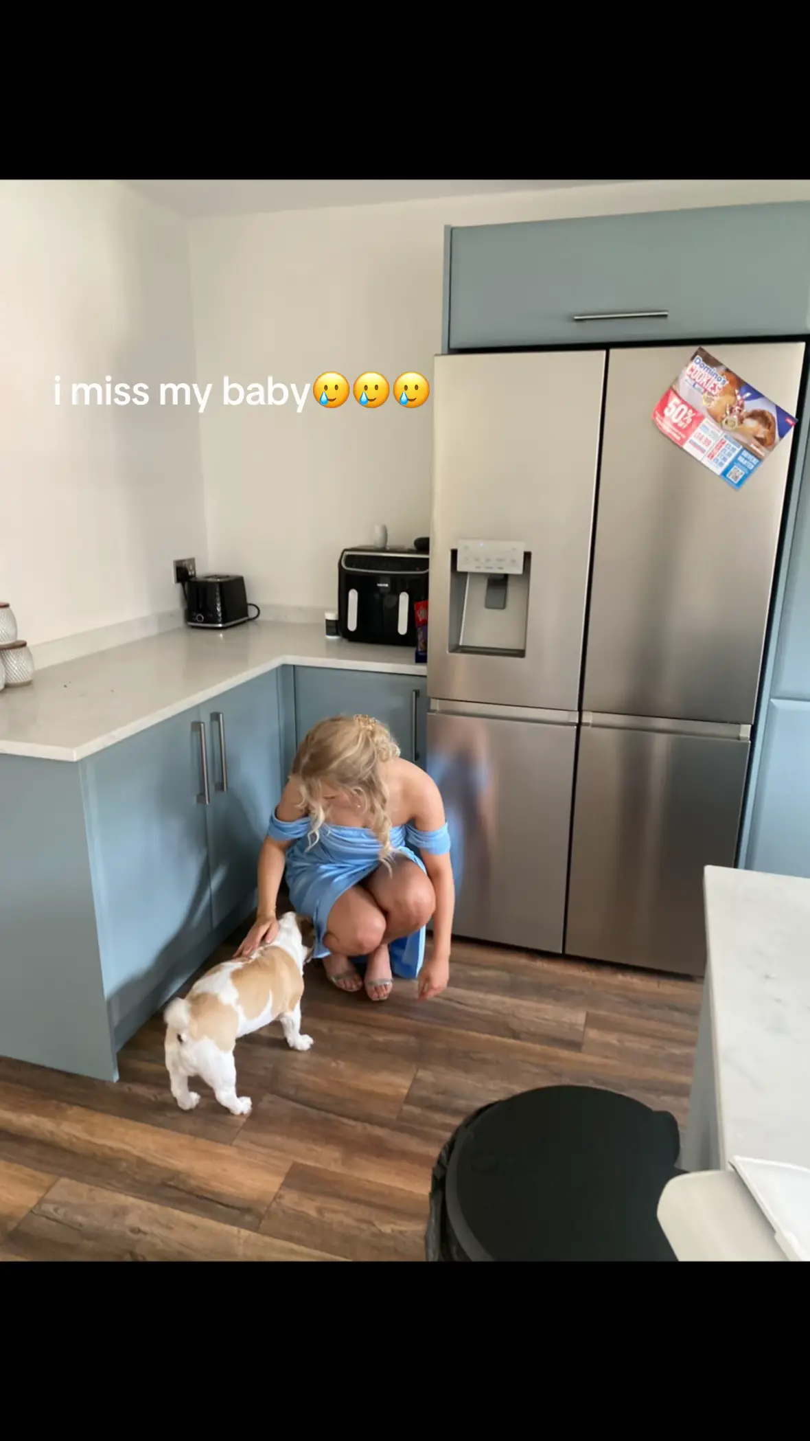 the most gorg cute dog ever 