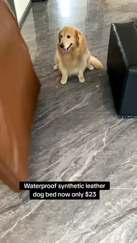 Waterproof leather dog bed for all seasons. #dogbed #dog #TikTokShop #tiktokmademebuyit 