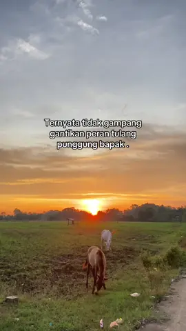 #fyp 