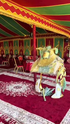 #tbourida #khayalrakhiye #tbourida_maroc ##مهرجان #مولاي_عبدالله #مولايعبداللهأمغار♥️♥️ 