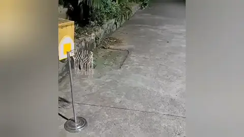 هناك اهداف سياسيه فولانيه 😂 #الشعب_الصيني_ماله_حل😂😂 #مالي_خلق_احط_هاشتاقات #ترند_تيك_توك_مشاهير_مشاهدات 