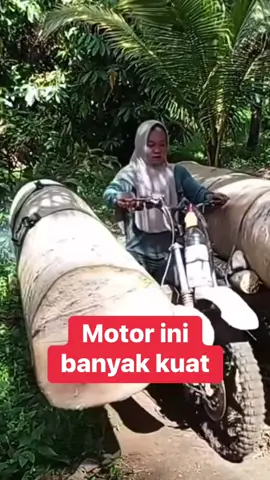 Angkat dua kayu balak besar tak ada masalah motor ini memang kuat mantap