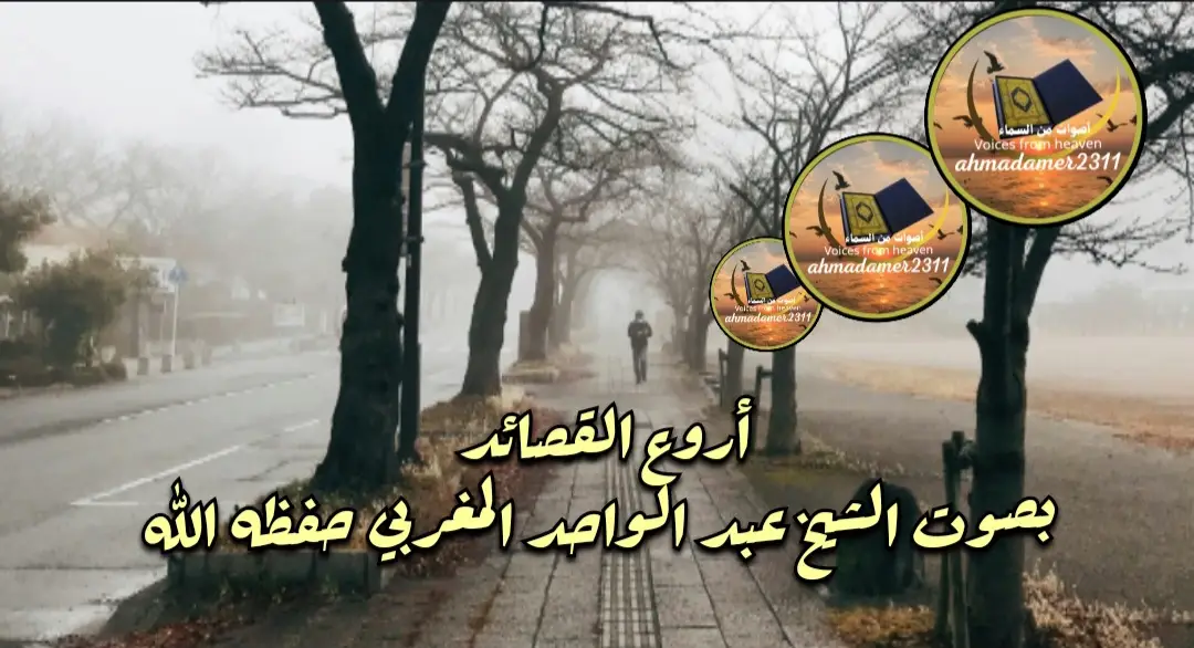 #ahmadamer2311  #قصائد#راحة_نفسية  #إبتهال