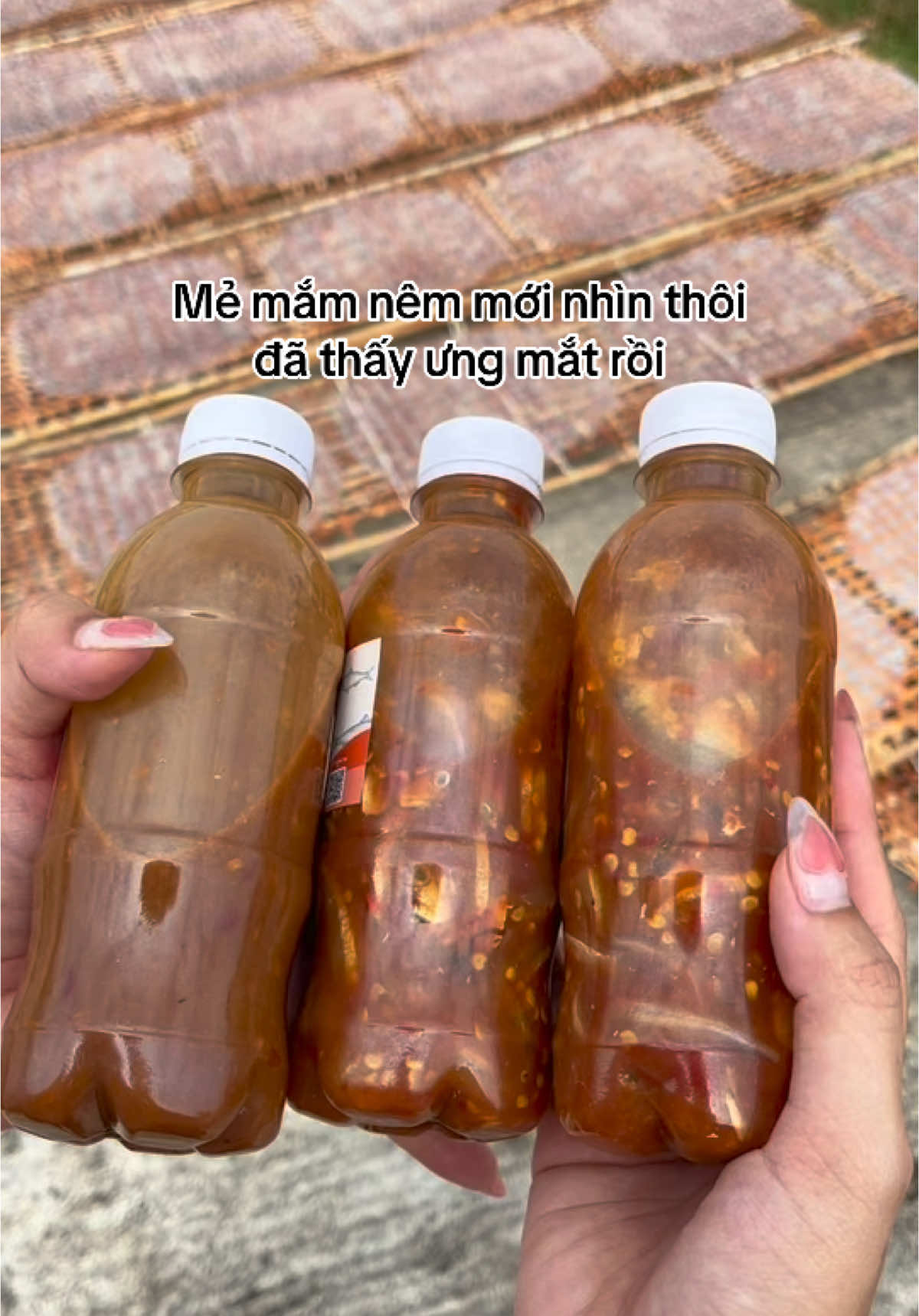 Có mắm nêm rồi, giờ ăn món gì đây ta #ngogiadacsanphuyen #ngogia #dacsanphuyen #phuyen #amthucphuyen #ancungtiktok #mamnemphuyen #mamnemcacom #banhtrangphuyen 