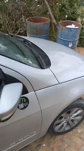 IMPRESSIONANTE !!! REVOLTANTE !!!!! ENOJANTE Esses 6 filhotes de cachorro foram abandonados recém nascidos, dentro de um saco de lixo, JOGADOS DENTRO DA LATA DE LIXO. Quero agradecer imensamente ao meu amigo Rogério Maria Freitas que a meu pedido foi até o local (Morro do Gambá) pegou e levou para minha amiga Sirlene Nunes . Dos seis filhotes, ficaram com minhas amigas: * Sirlene = dois filhotes; * Celita Valerius = dois filhotes; * Andréa Caçador  = um filhote; * Dayse Filgueiras  = um filhote. Quero agradecer também a todos que doaram, comprei as caixas de leite e as mamadeiras.