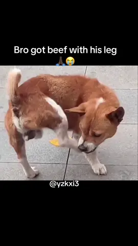 #yzkxi3 #fy #meme 