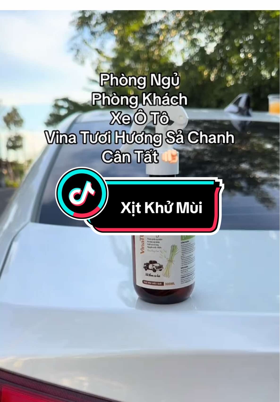 #xuhuong #vios #66dongthap #caolanh #xitkhumui #toyotavios 