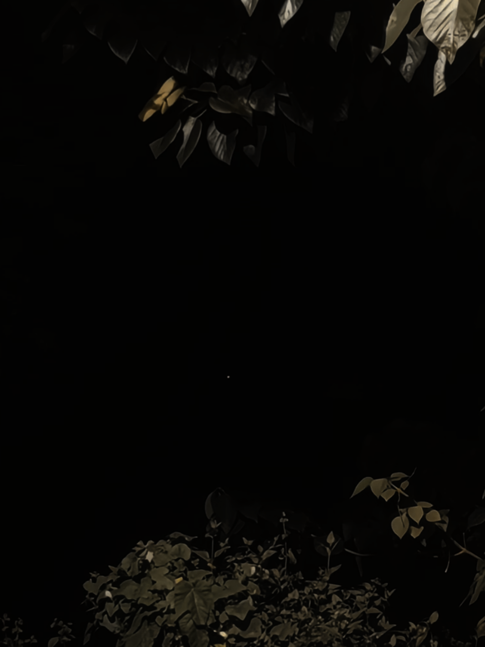 I miss my grandma to this day🥀 #salpriadi #galabungamatahari #lyrics #fyp 