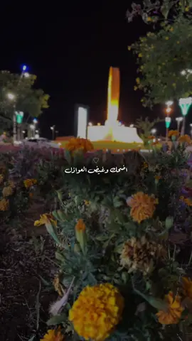 لا تلوم اللّي تولّع .. في محبّتك وهواك .. 😔♥️ @