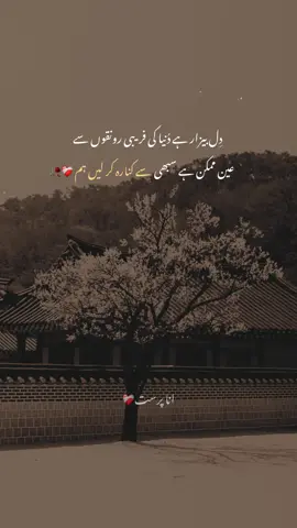 وہ سبق کتابوں میں تھے ہی نہیں  جو زندگی نے دیے ہیں 💔 #foryoupageofficiall #shayari #poetry #fyp 