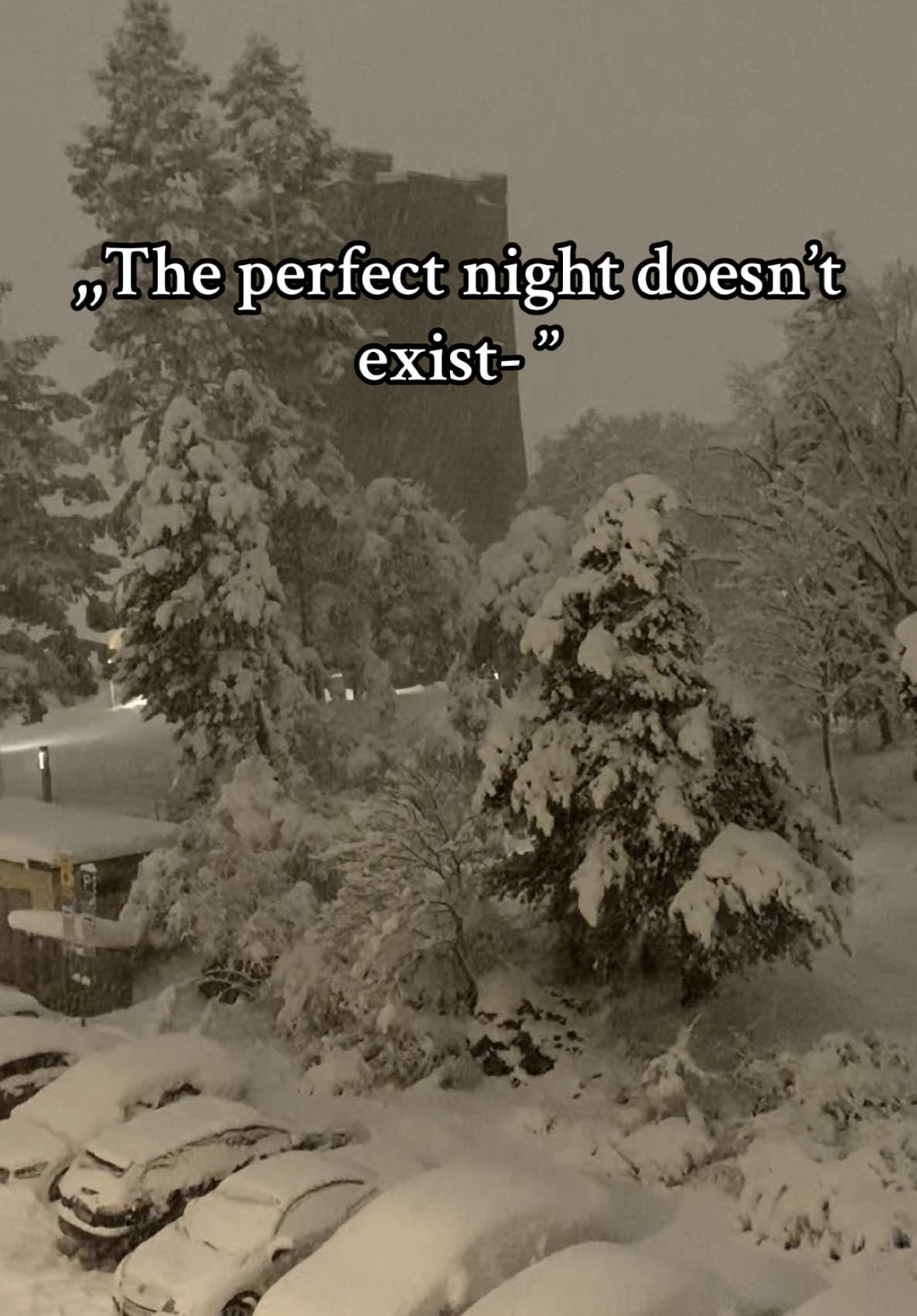 #snow #snowynight #christmas2025 #christmasdecor #xmas #christmastok #christmascountdown #christmas #cozy #aestheticvideos #christmastime #fyp 