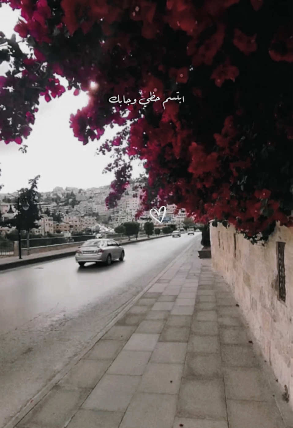 اكتسحت القلب كله .. صرت شريان وريد.                                                                    شيلات💕🎀
