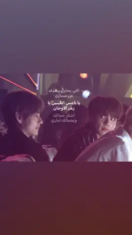 مو شيبر!#explore #foryou #fyp #viral #اكسبلور #idk 