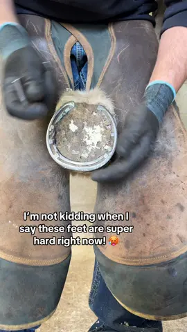 It really does wreck my wrists 😢 we manage though. I’ll be honest I would choose this over rain anyway 🙌🏼 #forfarriersbyfarriers #fyp #farrier #hoofcare #farriersoftiktok #oddlysatisfying #asmr 
