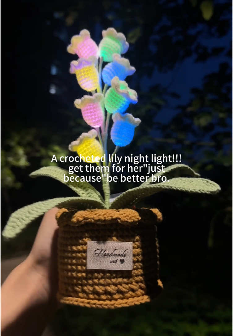 248|Get this for her to make her entire year better ✨#crochetflower #flowers #lily #gift #knitting #knittingtiktok #girlgifts #birthday #birthdaygirl #lovegift #crochet #handmade #cute #beautiful #fyp #giftideas #girlgifts