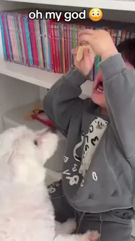 #baby's#vedio#funnybaby#funnybabys#babys#of#tiktok#tiktok#tiktokcreator#usa#highRpm#freefollowers 
