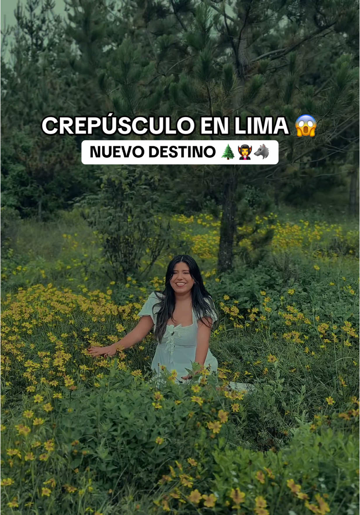 Respuesta a @Mh Cast 🧛 𝗨𝗡 𝗗𝗘𝗦𝗧𝗜𝗡𝗢 𝗗𝗘 𝗣𝗘𝗟𝗜́𝗖𝗨𝗟𝗔 🎬 ¡Allinllachu Traveleros! Hace poco estuvimos de viajes por una ruta nueva y miren lo que encontramos? Un destino con paisajes que pareciera sacado de la Película Crepúsculo 🌑. ¿𝗗𝗢́𝗡𝗗𝗘 𝗘𝗦𝗧𝗔́?🌲 Este increíble destino está en San Andrés de Tupicocha, a 3 horas de Chosica. Y uno de sus principales lugares turísticos es el bosque de pinos de Chanchana, el más grande de Lima con más de 90 hectáreas.  ¿𝗖𝗢́𝗠𝗢 𝗟𝗟𝗘𝗚𝗔𝗥? 🚍 Desde el Parque Echenique de Chosica se Toma un bus por 4 soles hasta el paradero de Cocachacra. Desde allí salen buses y colectivos y en 2 horas llegas a Tupicocha. Y finalmente, a 10 minutos, se encuentra el bosque de pinos.  ¿𝗤𝗨𝗘́ 𝗛𝗔𝗖𝗘𝗥? 🏕️ Hay infinitas posibilidades para actividades en el bosque de pinos, puedes hacer treking, acampar, hacer avistamiento de aves. Esta temporada el clima es ideal para hacer fotos mood crepúsculo 🧛🌑🌲.  ✅ 𝗗𝗔𝗧𝗢 𝗧𝗥𝗔𝗩𝗘𝗟𝗘𝗥𝗢  El ingreso es GRATIS al bosque de pinos, pero no olviden dejar limpio el lugar, o sino vendrán los vulturis 🧛 a desalojarlos. Y hablamos en serio... 😈 Ayllu, con quién les gustaría ir a descubrir este mágico lugar, o quizá, ir en busca de su 