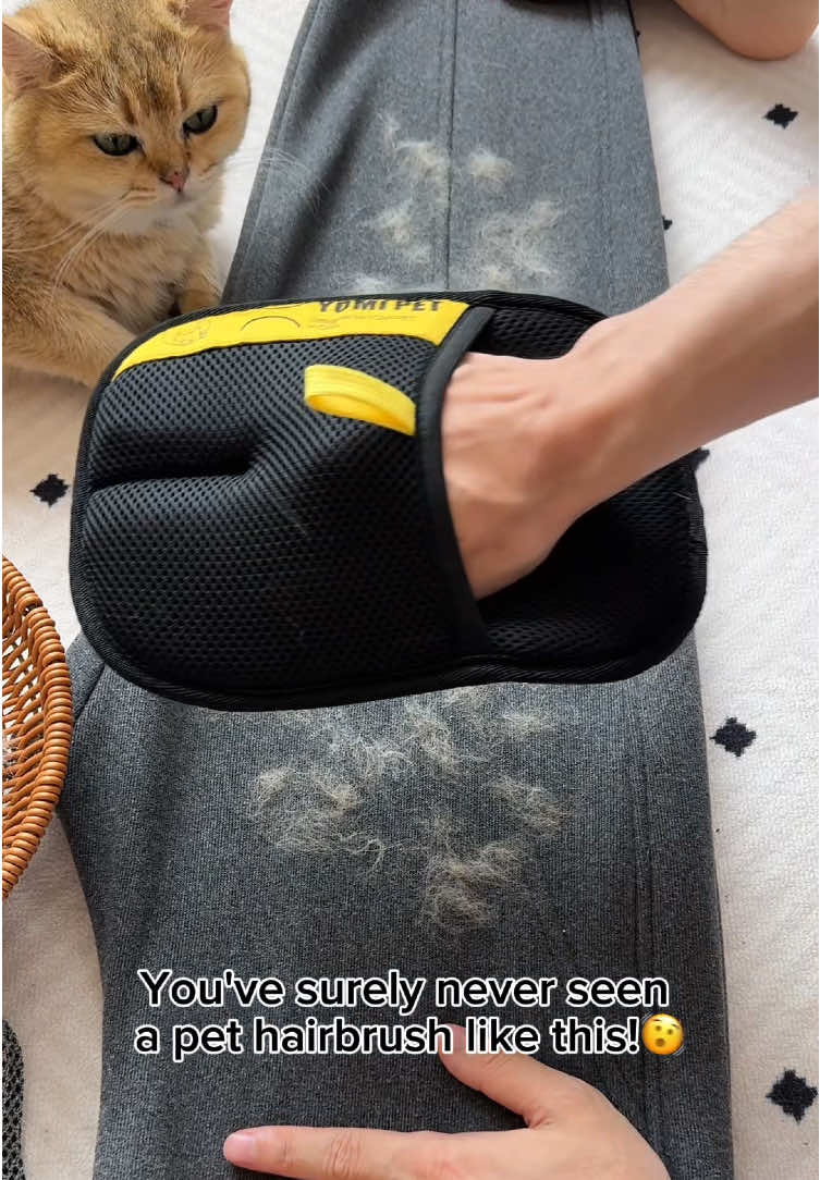 Remove pet hair from any furniture items🐈🐾#pethairremoval #pet #pethair #CleanTok #fyp #tiktokmademebuyit #petproducts #pethairremover 