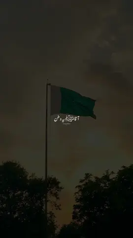 Ya nabiﷺSalam Alayka🥺❤️:)#foryou #tiktok #unfreezemyacount #standwithkashmir #tiktokoffical #foryoupage #crew07 #views #viralvideo #foryou 