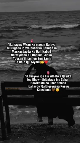 ilahow Qalbigeyga idaji🤲❤️💕