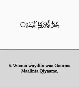 #CapCut dadku maalintaas waxey dhihi xage loo carara #🥺💔 #quran #salahbukhatir #quranrecitation #andhecreatedyouinpairs #quranvideo #quran_alkarim #muslimtiktok #Allah #Allah #muslim #quran #sheikh_salah_bukhatir #صلوا_على_رسول_الله #اللهم_صلي_على_نبينا_محمد #muslimtiktok #muslimtiktok #muslimtiktok #muslimtiktok 
