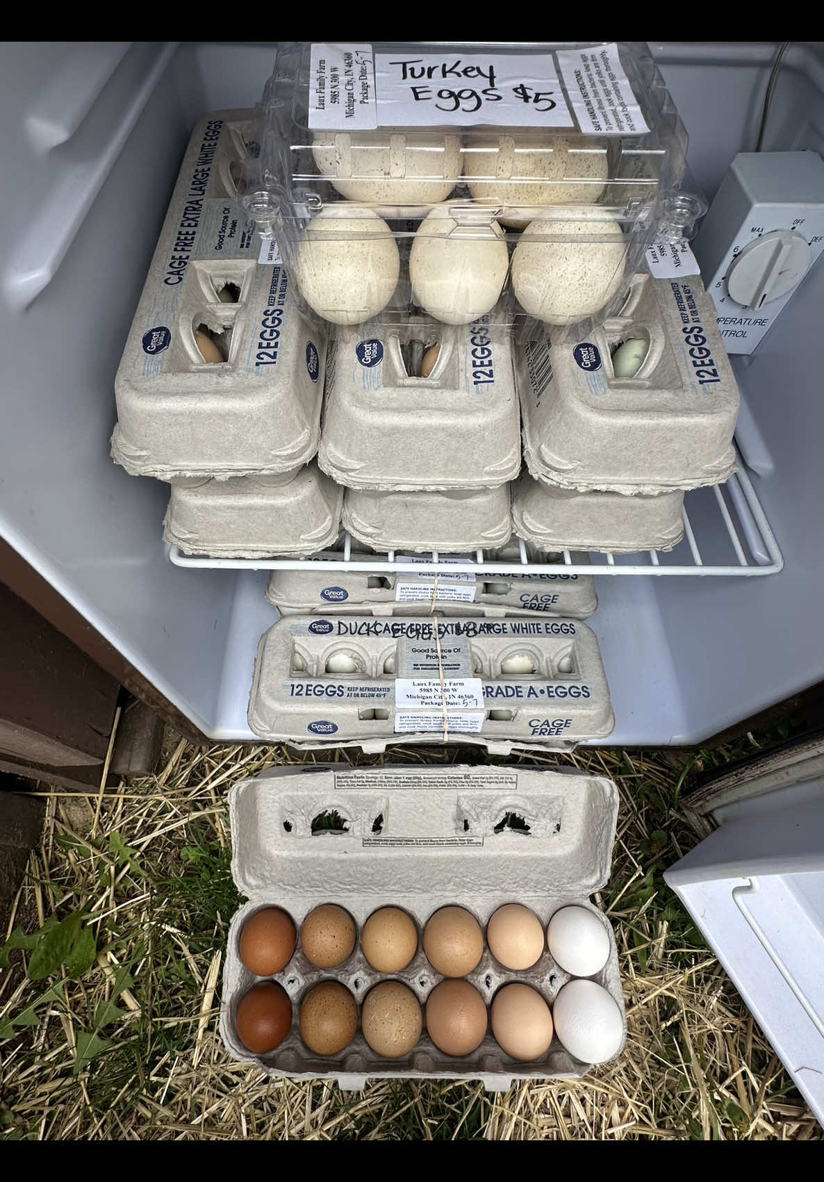 Quick little ramble this morning. Be sure to go check out @The Bachelor Farm Stand and show her some love today. #lauxfamilyfarm #farmstand 