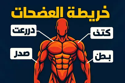 أول مرة تتمرن؟ ده البرنامج اللي هيغير جسمك للأفضل!** --- 