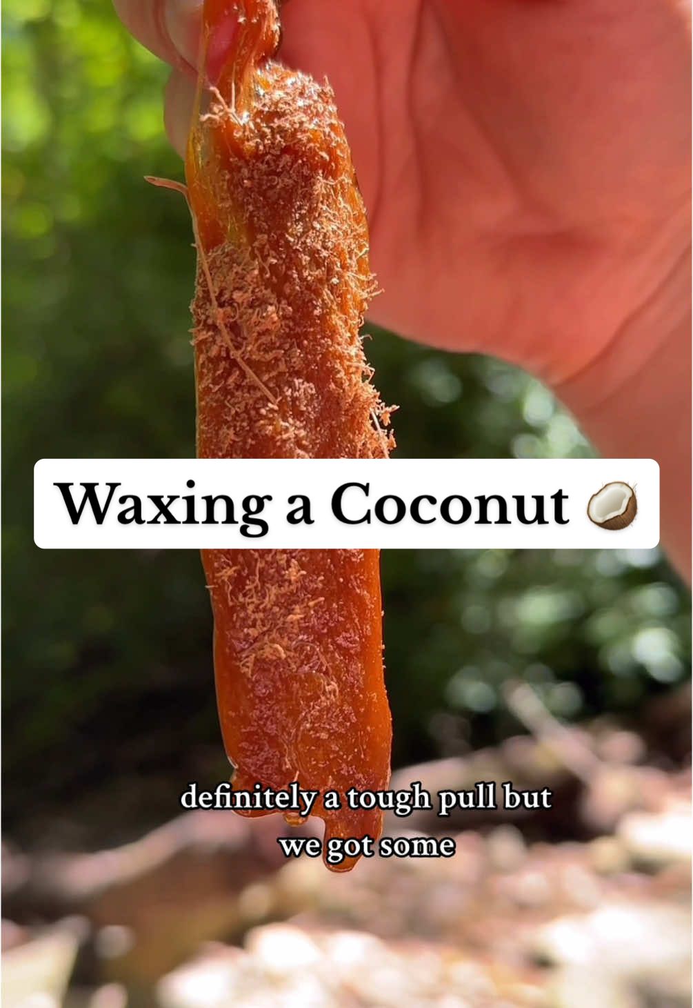 Learn all about my beginner friendly sugaring collection on my page 🤍  XOXO #sugarwax #coconut #SmallBusiness #tiktokshopbestseller 