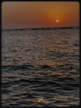 #CapCut  #عمروحسن❤️‍  ♥️♥️♥️♥️♥️