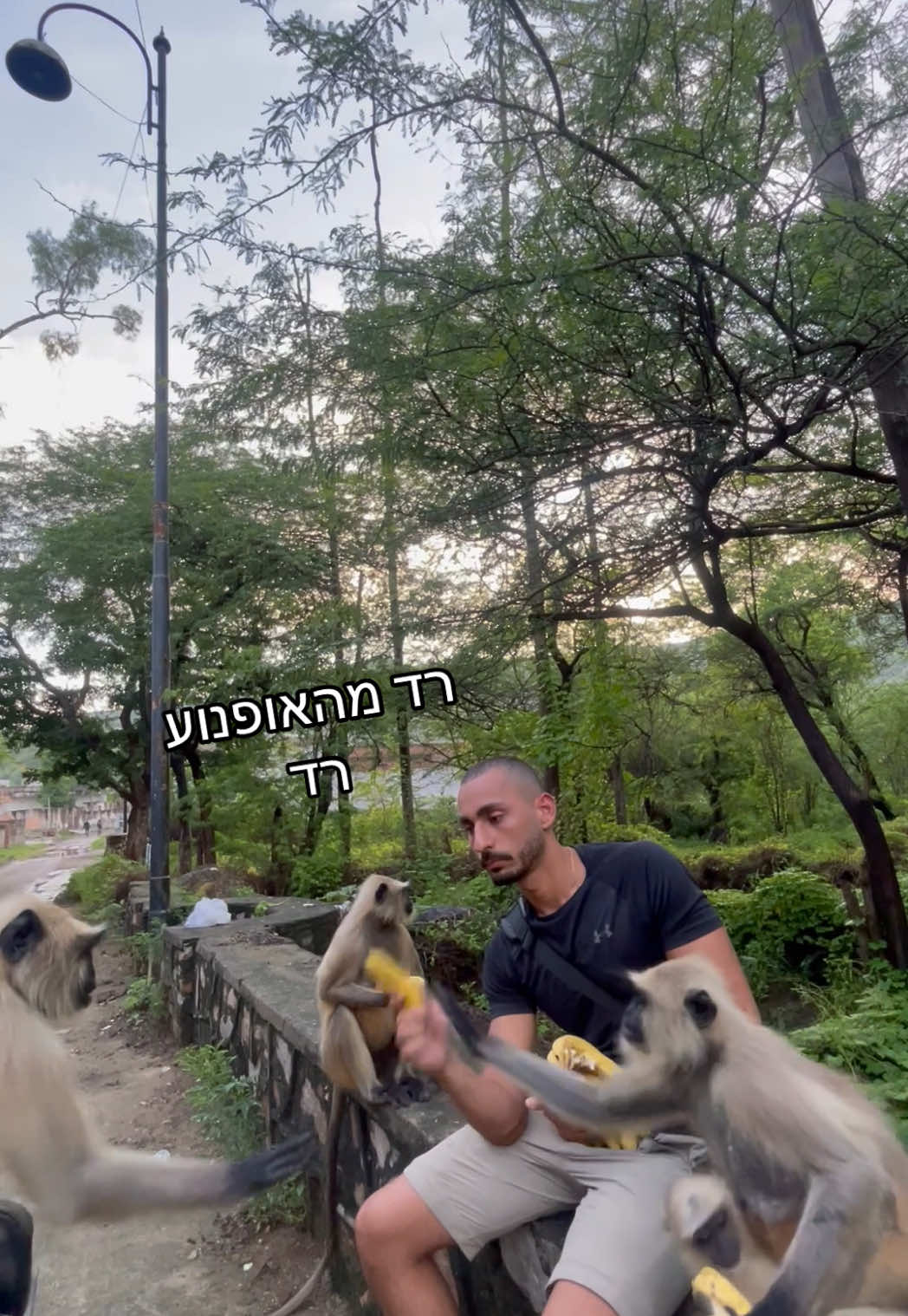 שילת אם אני אומר לך לבוא אז תבואי!