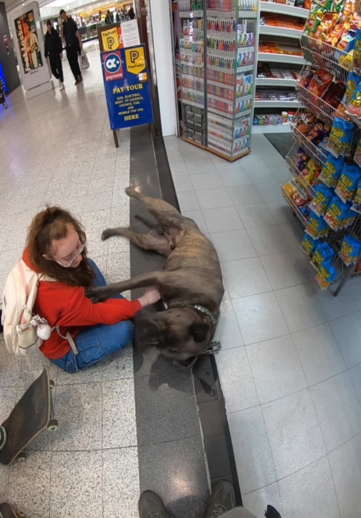 Are you stopping for a CUDDLE or stepping around?  🐶🐾👇 #fyp #canecorso #dog #videoviral 