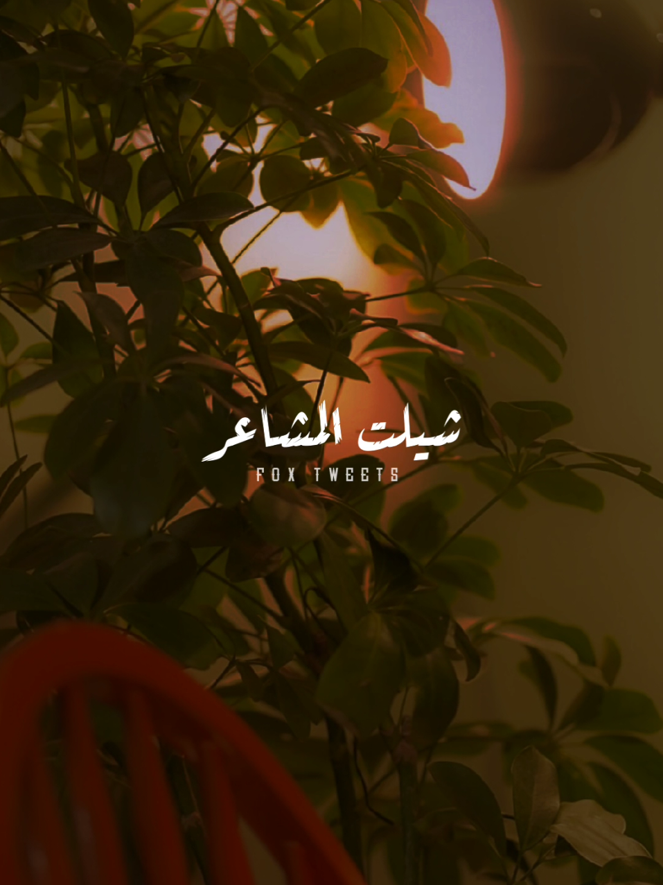 اجلت فكرة إني أحب 🖤! #CapCut #fpyシ #fpy #explore #foryou #انت_لما_غاليه #بدون_موسيقى 