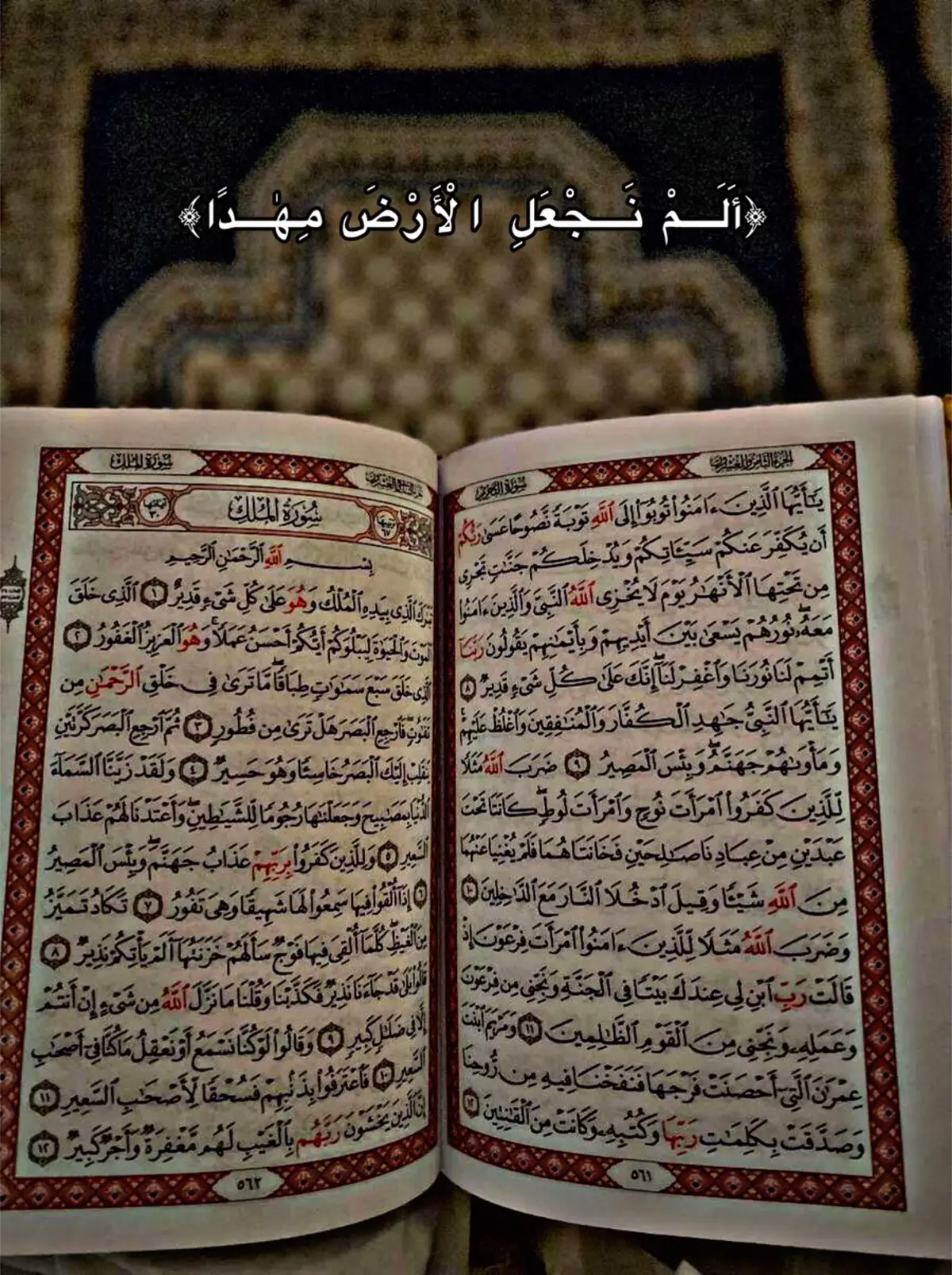 Quran 🎧☺️ #fyp #quran #quranrecitation #islamic_video #quranvideo #عبدالرحمن_مسعد #سکون❤ #surah #quran_alkarim 