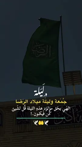 🕊️❤️🕊️ السلام على مولانه الرضا 