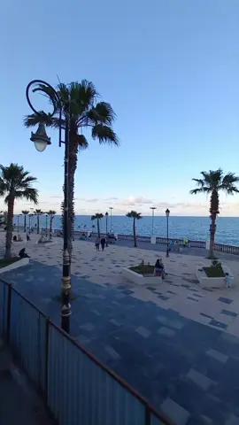 ❤️😏 #حافلة_مكشوفة #city_tour #سياحة  #algerie🇩🇿58wilayaa🥵💉🔥 #following #fypシ゚viral🖤tiktok  #algerie🇩🇿_maroc🇲🇦_tunisie🇹🇳 