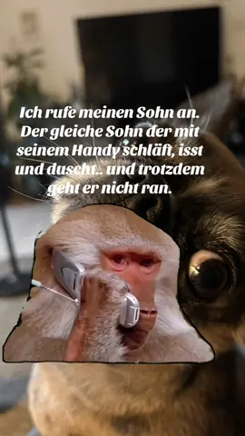 #Meme #MemeCut #foryou #fypシ゚viral #foryourpage #momtok #positivevibes #son #motherhood #motherson #dogsoftiktok 