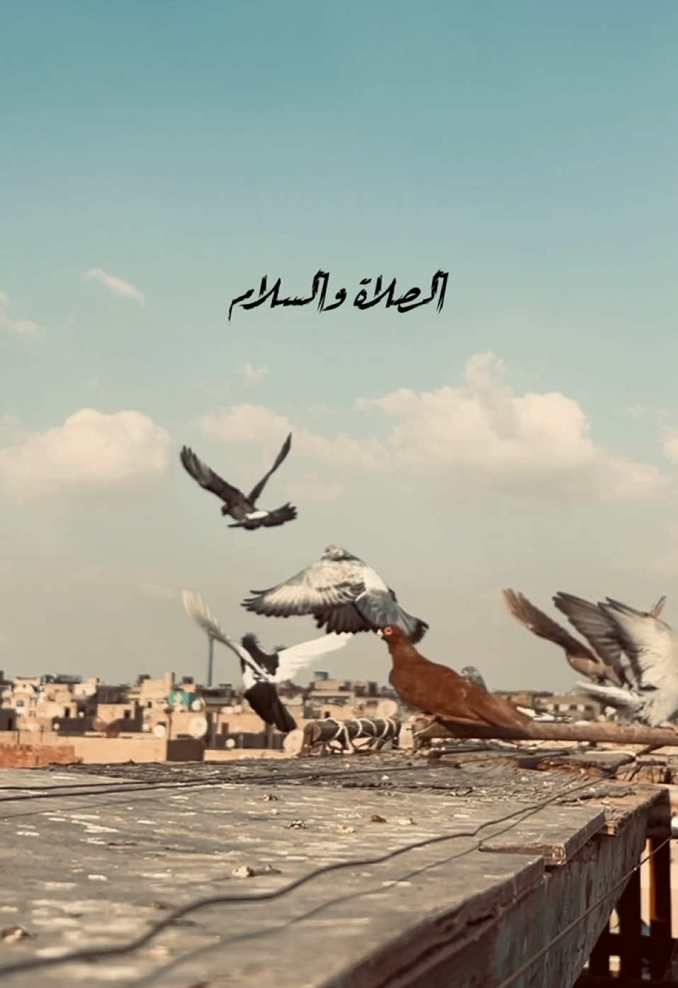 الصلاة والسلام عليك ياسيدي يارسول الله 🕊️ . #صلي_علي_النبي #صلي_علي_النبي_محمد_صلي_الله_عليه_وسلم #جمعه_طيبه_بذكر_الله #جمعه_مباركه 