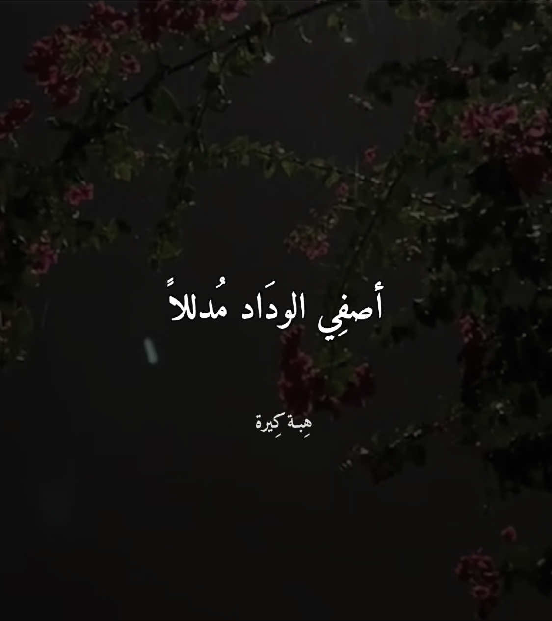 مثواه من قلبِي السّواد .#هِبـة_كِيرة #بدون_موسيقى 