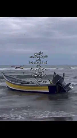 #انيسة_الروح #فراشة_البيت #الاولى #اضافه_لايك_كومنت_اكسبلوووررررر #منشورات_عراقية #متنوعة #🤍 