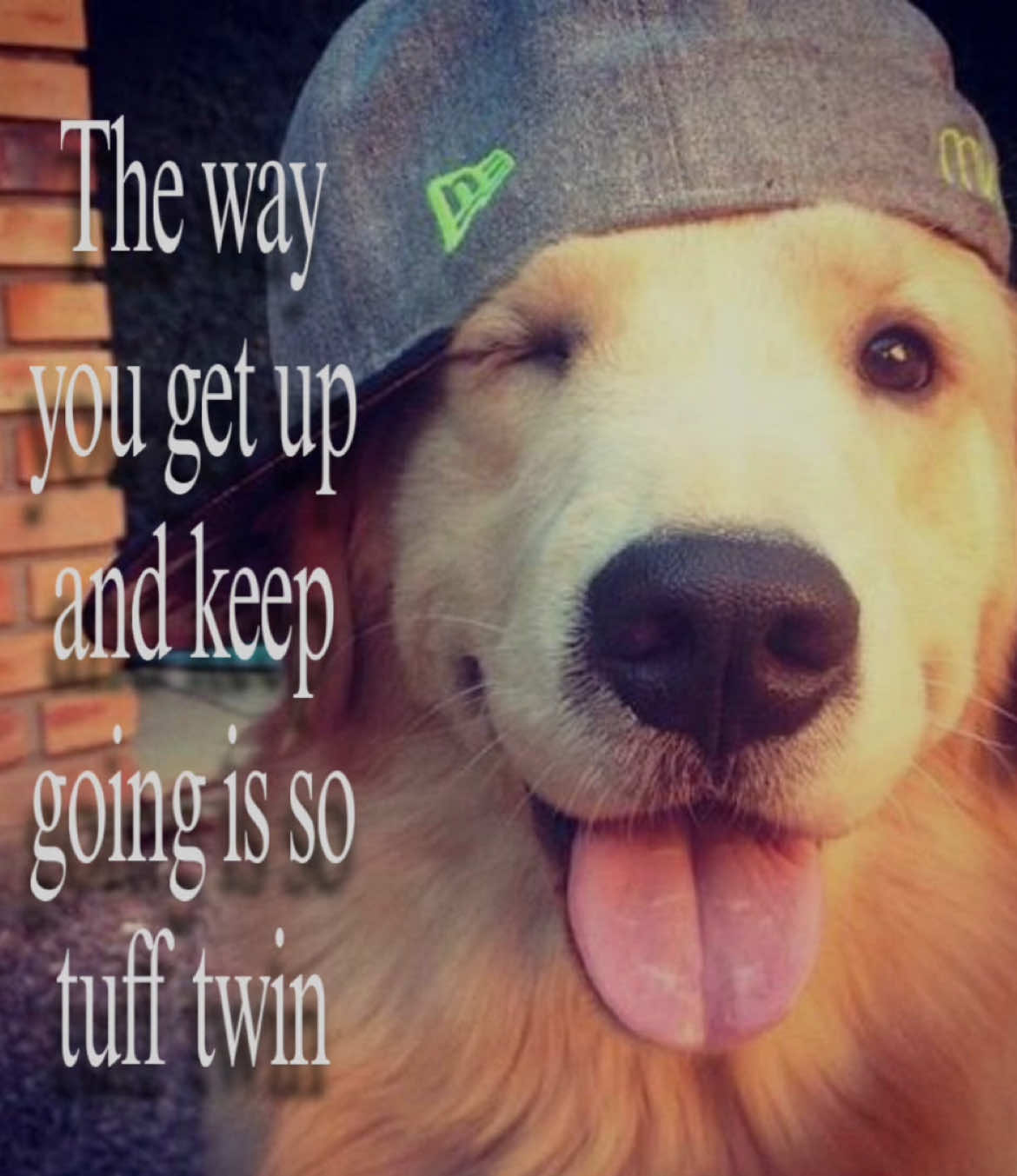You’re goated twin, keep your head up ❤️‍🩹😛 #hopecore #senulegend #positivity #hopecoretiktok #wisdom #inspiration #quote #targetaudience #dogsoftiktok #fy #fypシ゚ #viral #fyp 