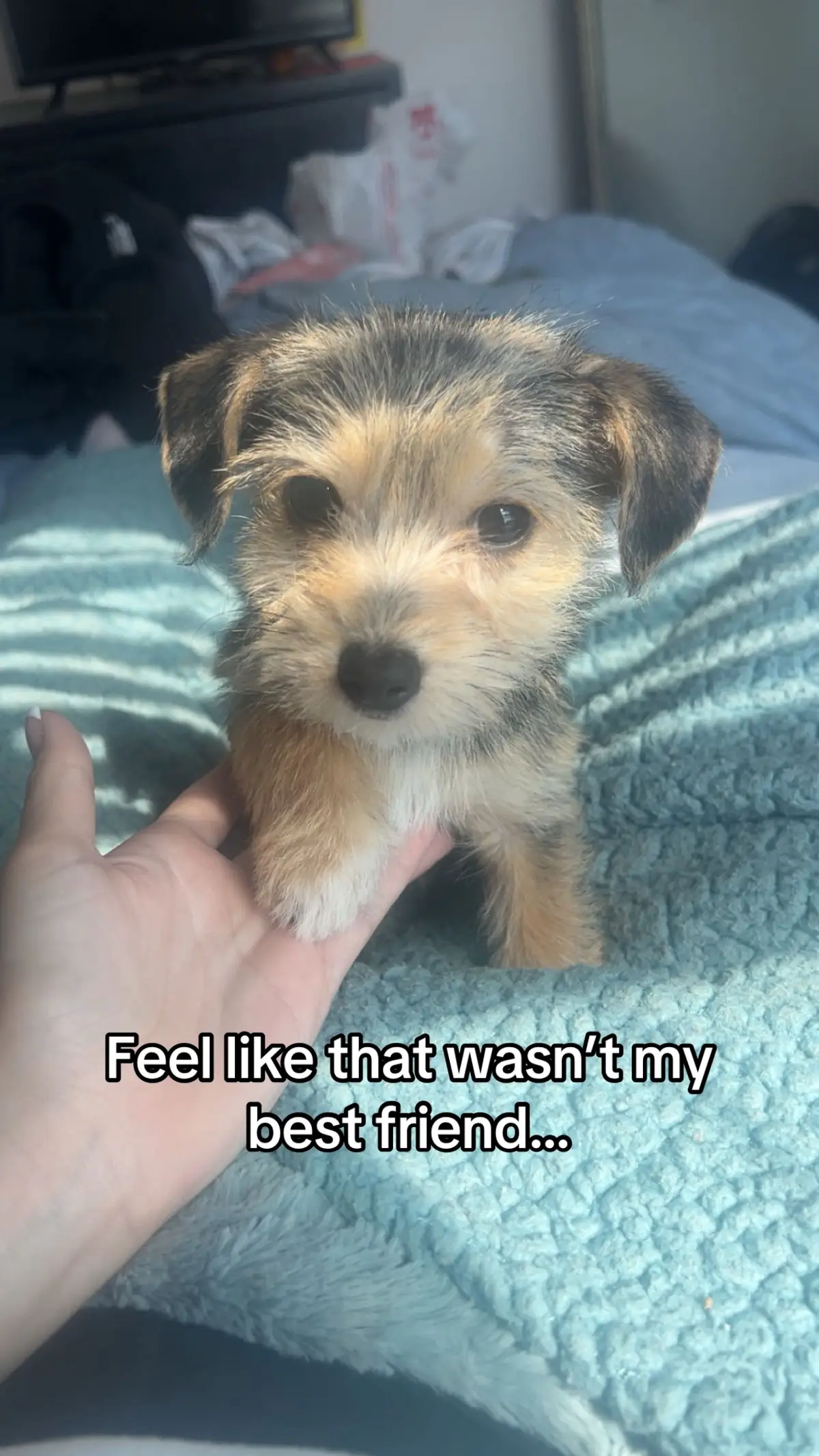 WHAT HAPPENED TO HIM