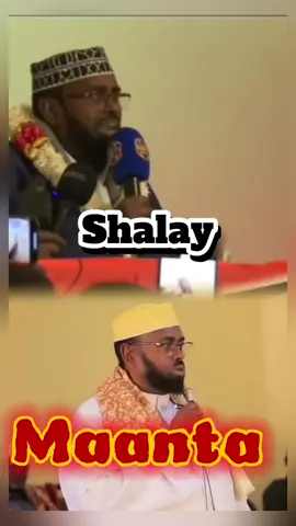 Shalay Iyo Maanta #hargeisa #boorama #berbera #ceerigaabo #burco #laascaanood #laascaanood 