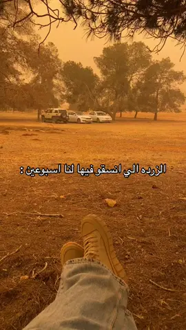 الجو كان عنده رأي تاني  #fypシ゚ #explore #اكسبلور #pov #fypppppppppppppp #مالي_خلق_احط_هاشتاقات #ليبيا #ليبيا🇱🇾 #بنغازي #طرابلس 