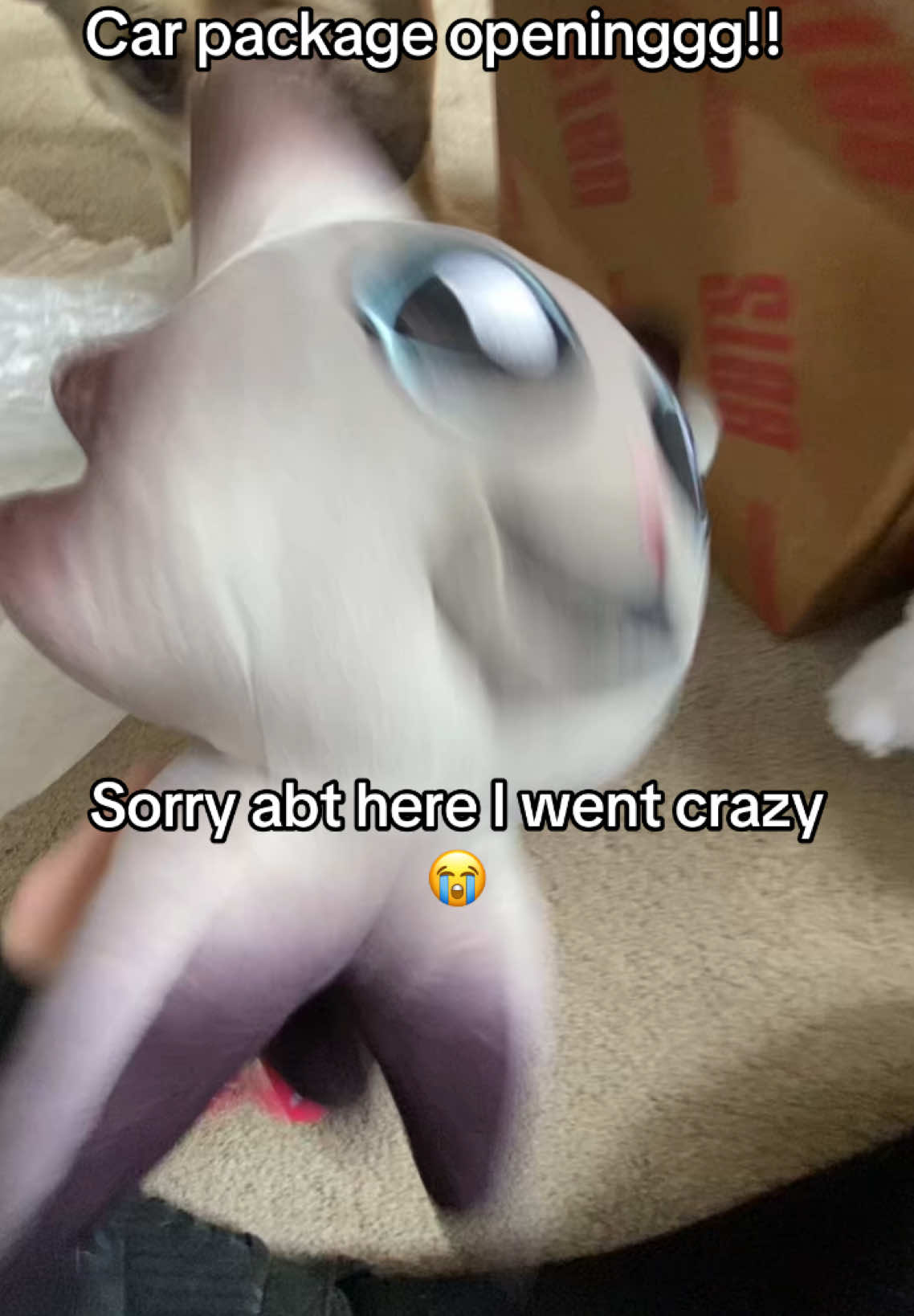 CARRRR IS HEREEEE!! #garn47 #furry #fur #car #carr #opening #cute #hehe #adorable #luv #carssister #handsewed #fyp #foryou #foryoupage #you #package #opening #:3