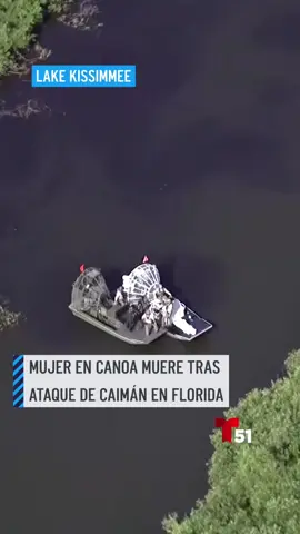 Mortal ataque de caimán en Florida. Un caimán volcó la canoa de una pareja en Lake Kissimmee. La mujer cayó encima del animal y fue mordida. Su esposo intentó salvarla, pero no lo logró. #caiman #florida #lakekissimmee #noticias