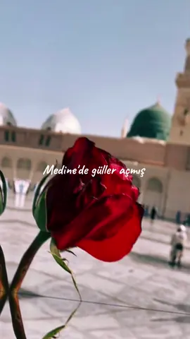 #hacı #ilahiler #allah #🕋  #kesfet #tiktok 