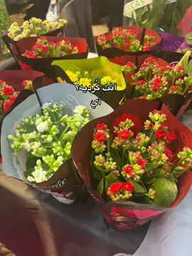 #CapCut #الشعب_الصيني_ماله_حل #برشلونة #ريال_مدريد #العراق🇮🇶 #fyp #تيك_توك #ترند #امتحانات 